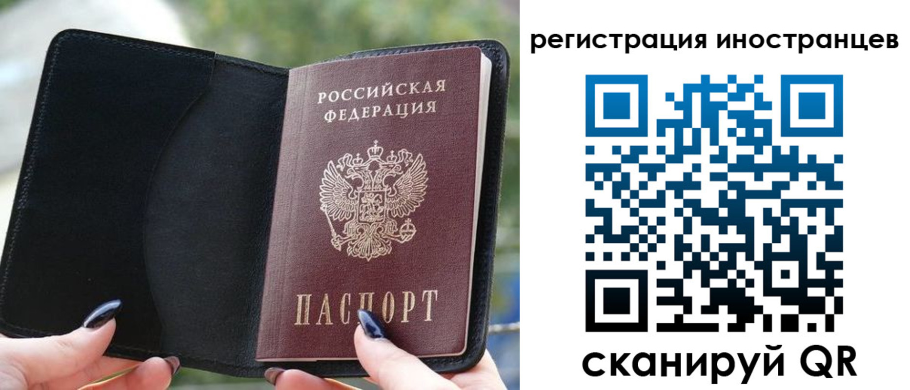 найти адрес прописки в Камышине